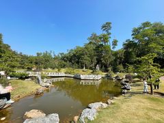 -深圳仙湖植物园