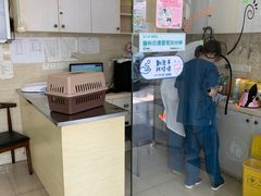 -瑞派天使宠物医院·神经外科·骨科·核磁(洛川中路店)