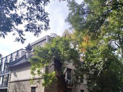 -山东大学(趵突泉校区)