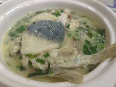 秧草河豚-溱湖八鲜菜馆
