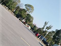 -洋湖国家湿地公园