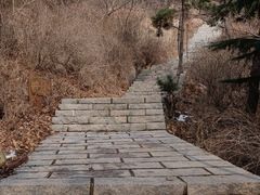 -石岛赤山风景区