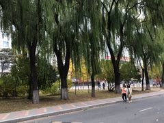 -沈阳职业技术学院