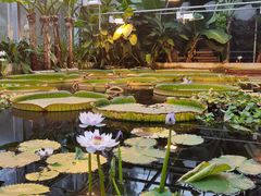 -国家植物园南园