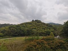 -国恩寺