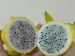 -油麻地果栏