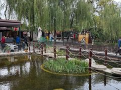 -茯茶镇