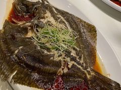 清蒸多宝鱼-鱼乐轩·俄罗斯海鲜直供餐厅(群力店)