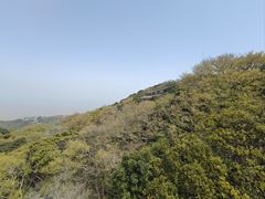 -普陀山风景名胜区-千步大沙