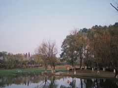 -洋湖国家湿地公园