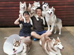 -TrueLove @ Neverland (Husky Cafe)