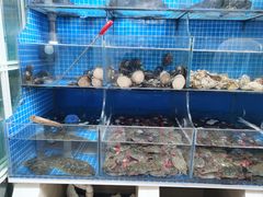 -宾朋海鲜饭庄(兴海路店)