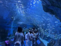 -海合安成都极地海洋公园