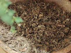 -左悦·艾灸调理·推拿按摩·精油SPA(卓悦汇店)