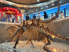 -国家自然博物馆