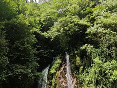 -西岭雪山大飞水景区