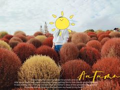 -花开海上生态园