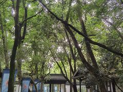 -兰亭风景区