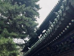 -潭柘寺景区