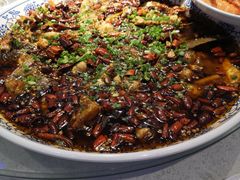 -新概念来凤鱼(璧山店)