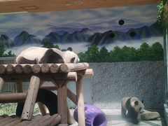 -西安秦岭野生动物园