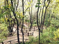 -大岭沟猕猴桃谷风景区