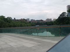 -成都市活水公园