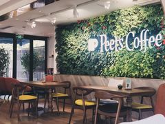 大堂-Peet's Coffee皮爷咖啡(大学路店)