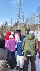 -大秃顶子山(雪谷店)