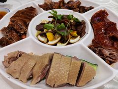 马冈鹅大全-鹅城