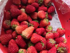 -江杨农产品批发市场