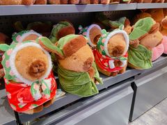 -酷乐潮玩(金桥国际店)