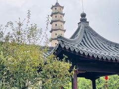 -江心屿景区