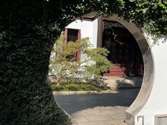 -上海醉白池公园