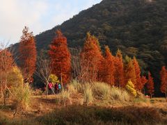 -广州市石门国家森林公园