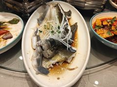 -刘胖子家常菜·蹄花焖藕(中南店)