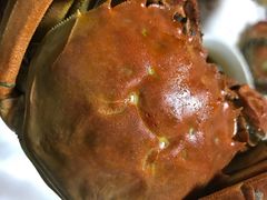 -虾铺子龙虾·私房菜(金源花苑店)