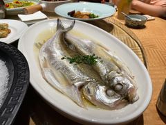 清蒸太湖白鱼-鱼食饭稻·苏浙土菜17年老馆子(平江路店)