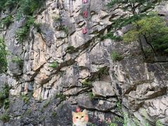 -青峰峡国家森林公园