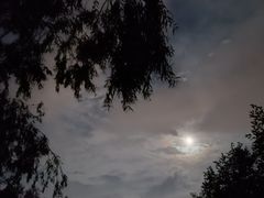 -上林马术中央公园·户外露营·团建·骑乘