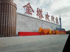 -金塔沙漠胡杨林景区