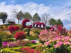 -东莞植物园