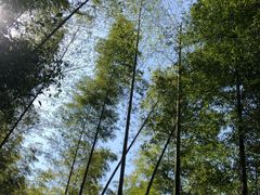 -千泷沟大瀑布旅游区