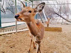 -观唐（国际）度假村温泉