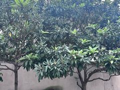 -临水阁农家乐饭店