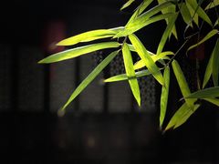 -宁波市保国寺古建筑博物馆