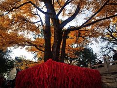 -红螺寺