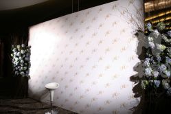 -M'S BANQUET AND SPACE ART