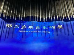 -鄂尔多斯博物馆