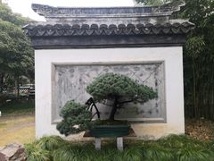 -水绘园
